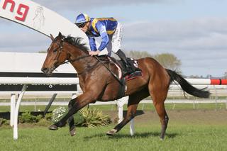 $15,000 Festival Sale purchase Tomelilla (NZ) wins the feature at Pukekohe Park on Sunday, taking her career earnings past $200,000.